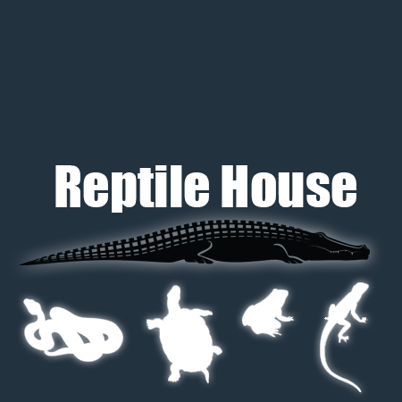 Reptile House